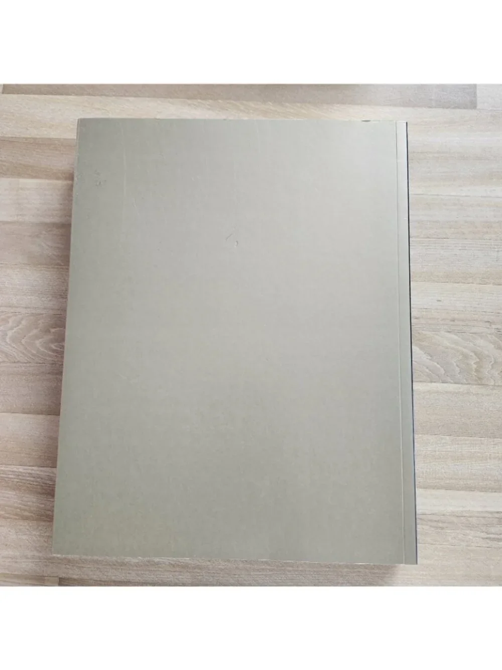 Diane Arbus Revelations - Photographs Large Format Art Book 2003 First Edition